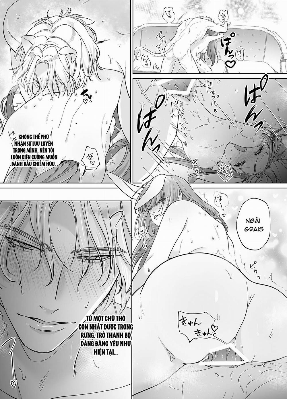 [21+] Cô Dâu Thỏ Của Chàng Sư Tử Hung Mãnh 4 trang 7