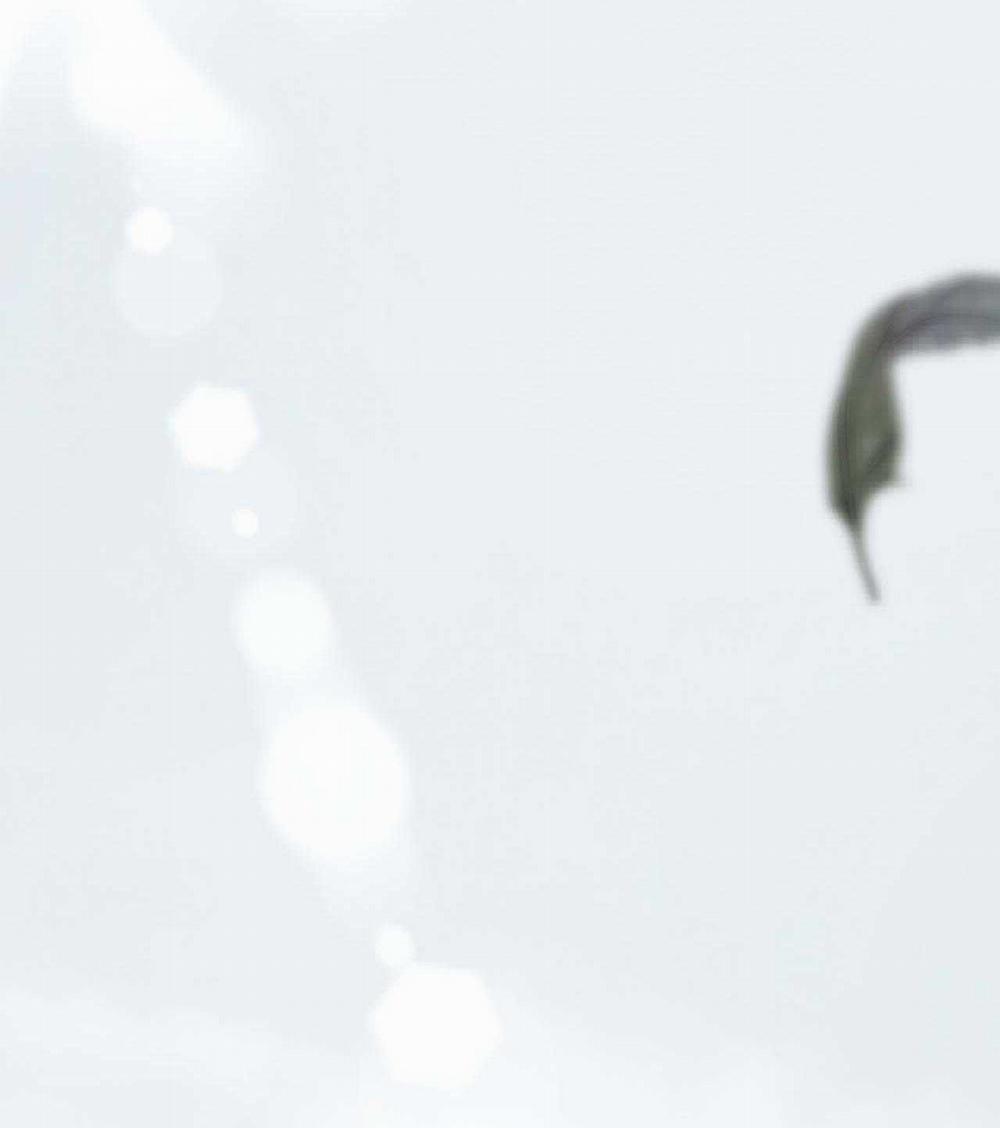 Á Nô 2 - Thám Hoa 67 trang 30