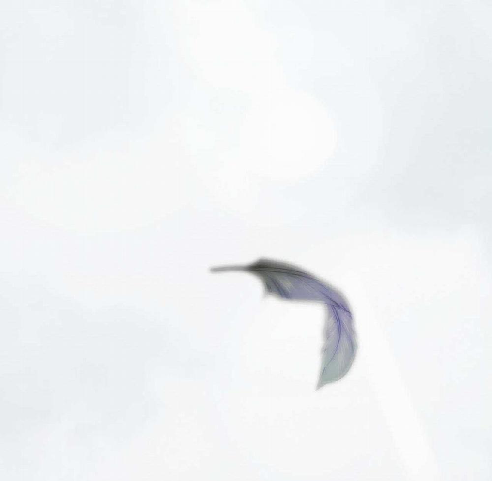 Á Nô 2 - Thám Hoa 67 trang 31