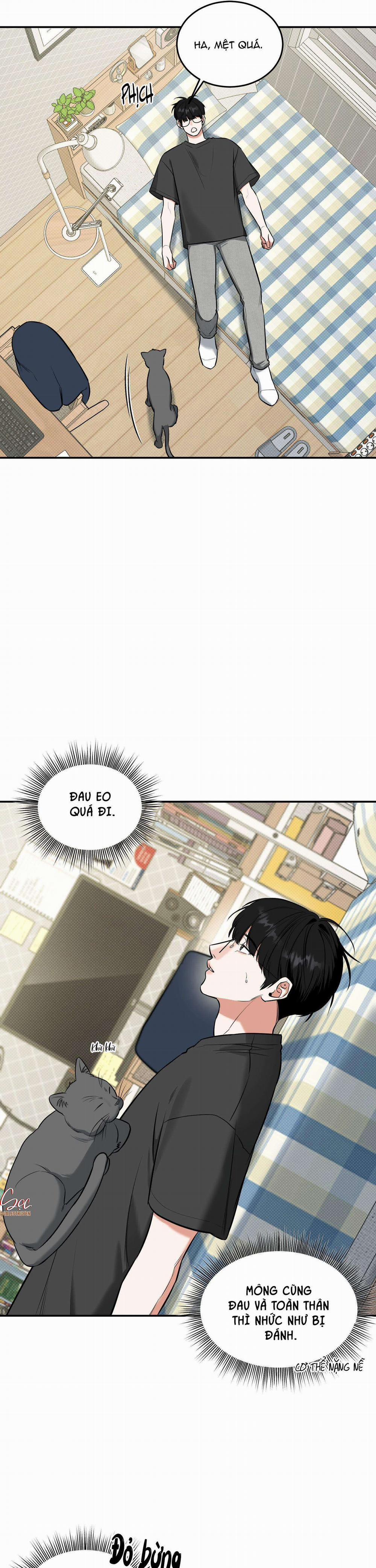 (Abo) Feel My Benefit 0 0 trang 17