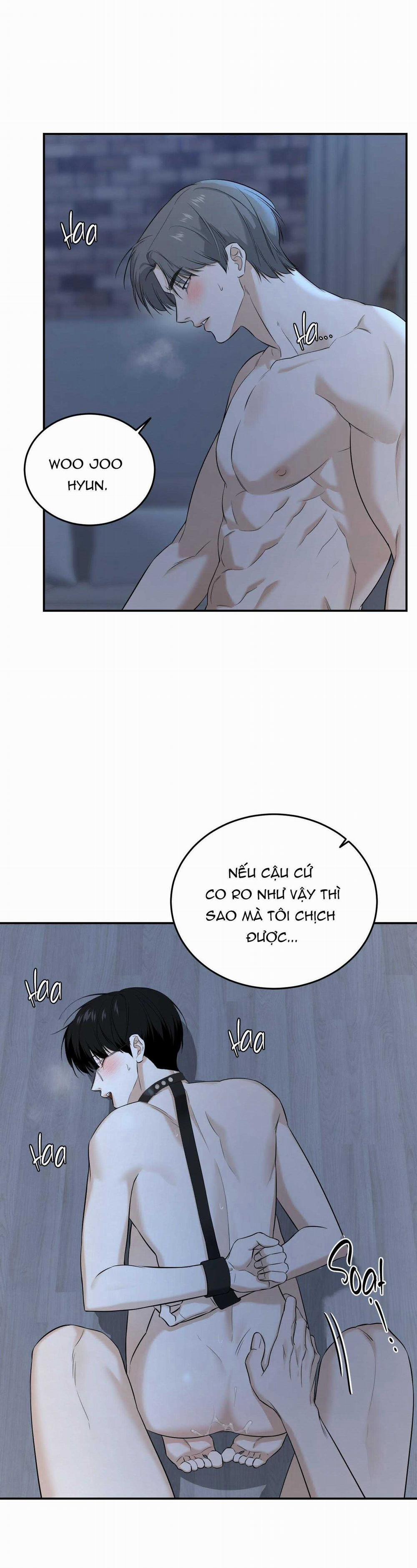 (Abo) Feel My Benefit 29 trang 17