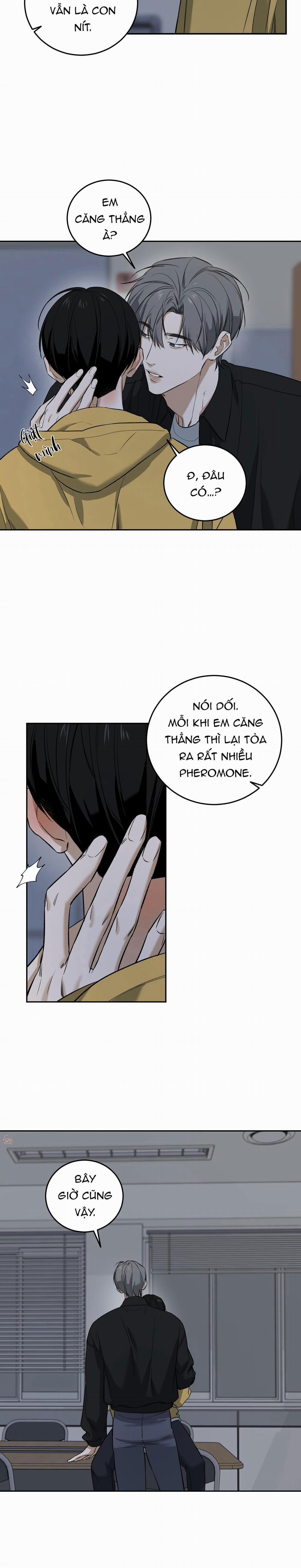 (Abo) Feel My Benefit 33 END SS1 trang 12