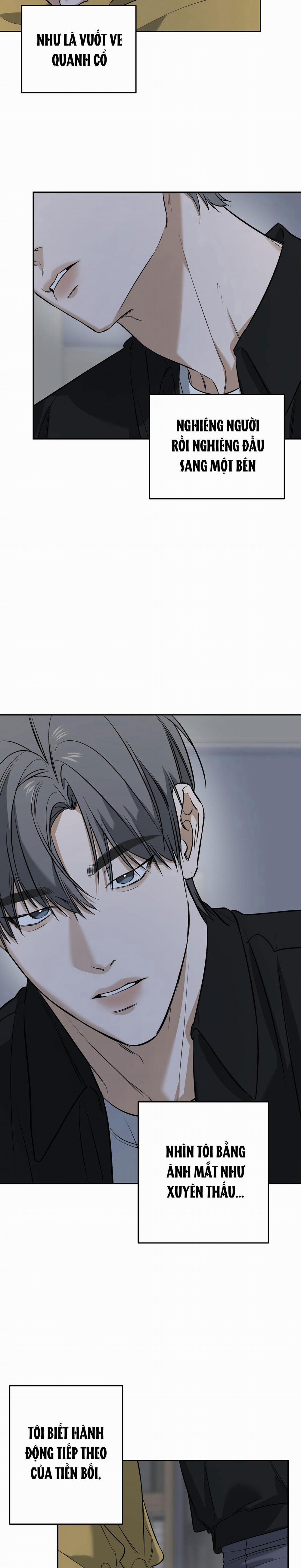 (Abo) Feel My Benefit 33 END SS1 trang 15