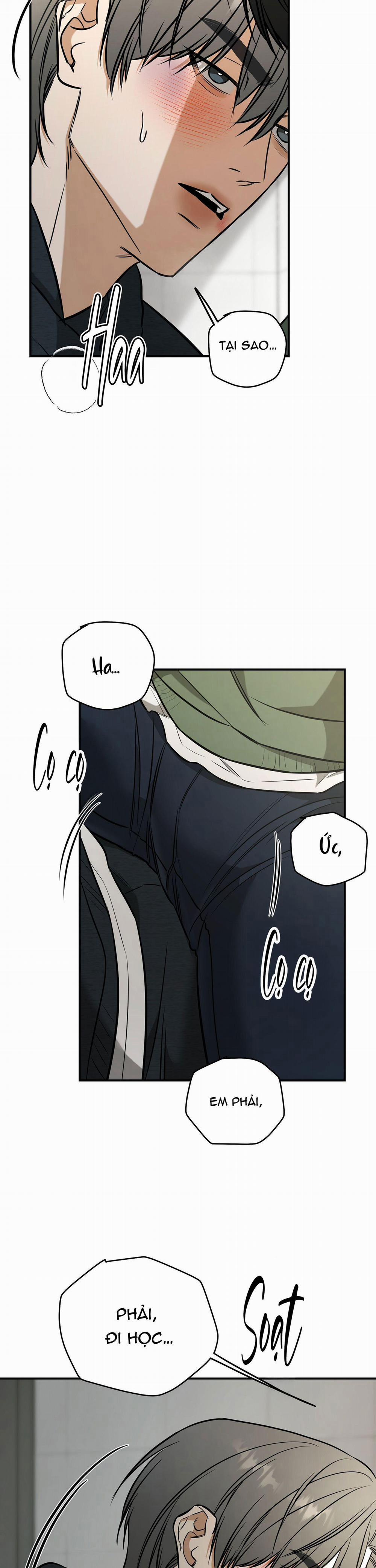 (Abo) Feel My Benefit 38 trang 22