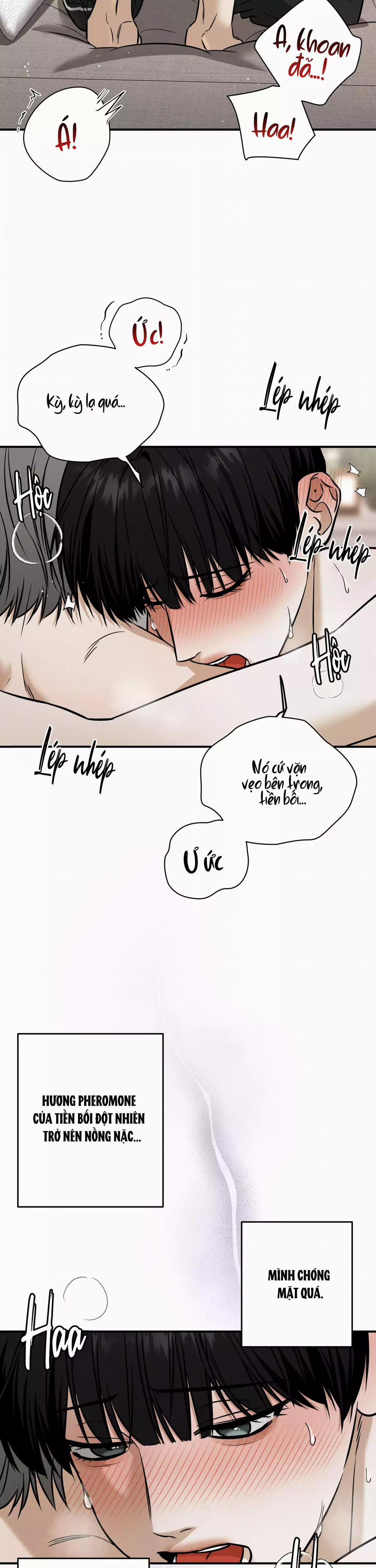 (Abo) Feel My Benefit 40 trang 12