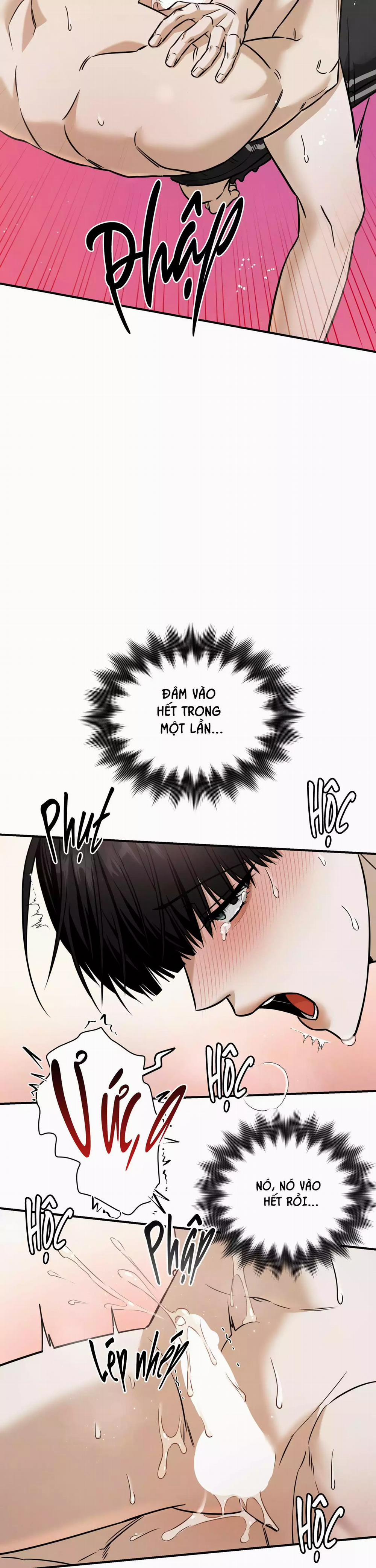 (Abo) Feel My Benefit 40 trang 17