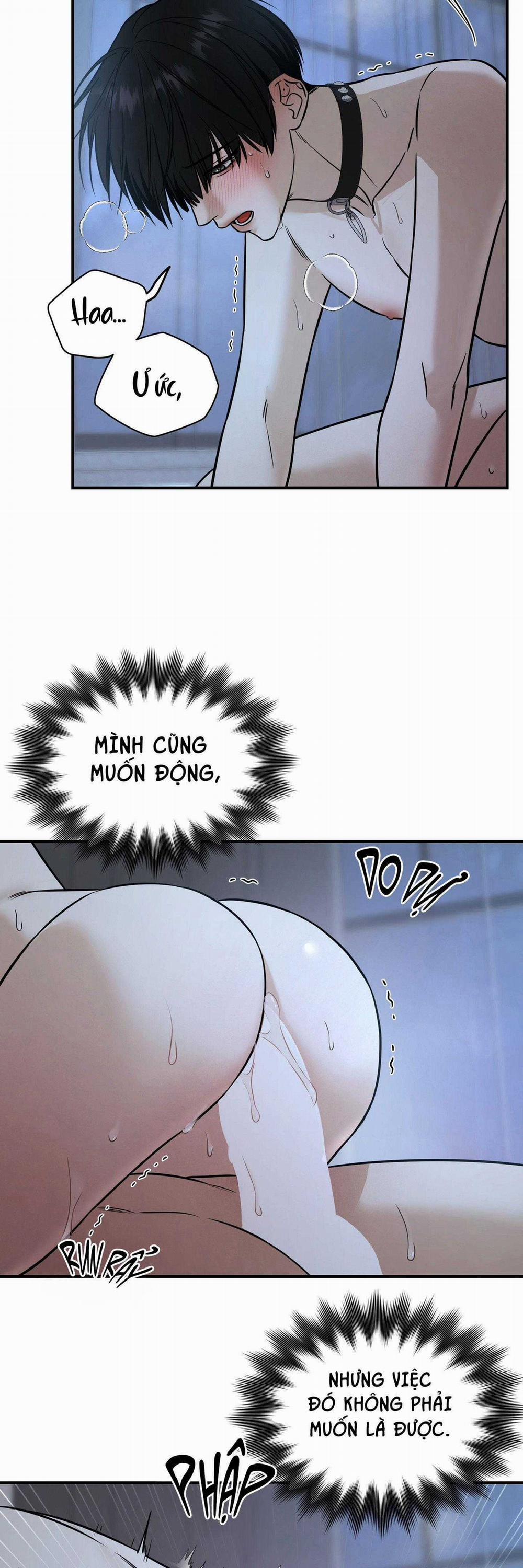 (Abo) Feel My Benefit 41 trang 8