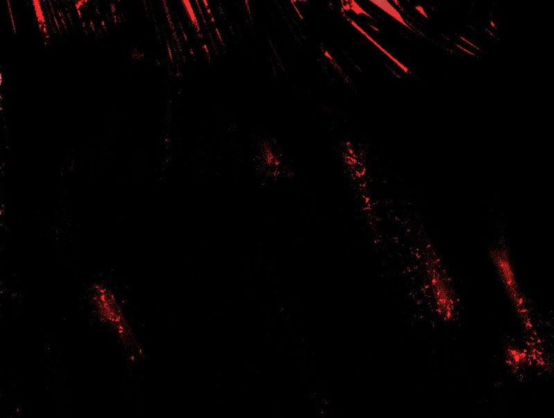 Ác Chi Hoàn 32 trang 231