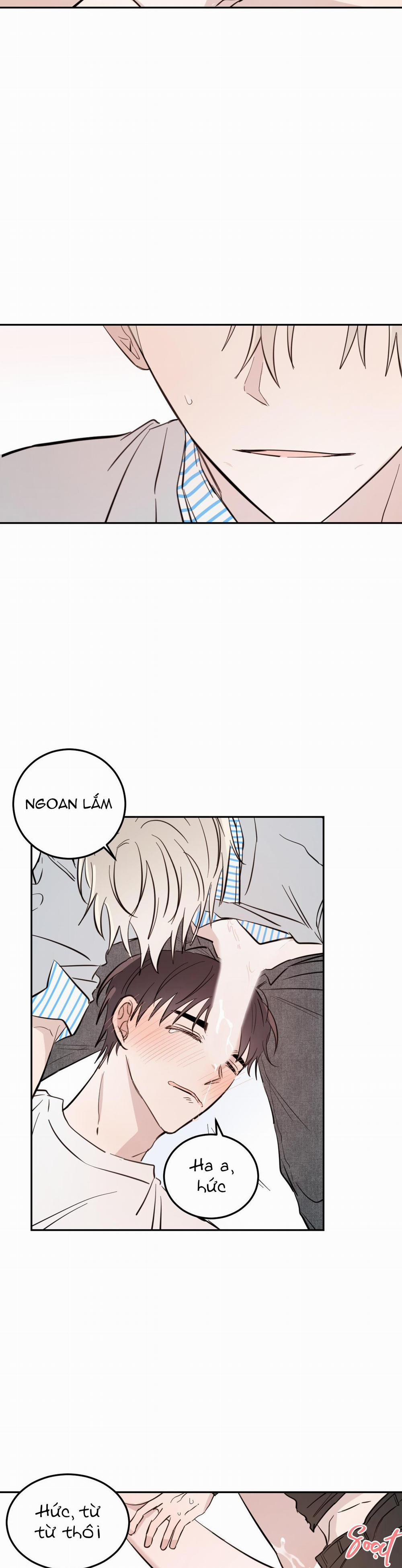 Ác Ma Giữa Ngã Tư Đường 47 trang 17