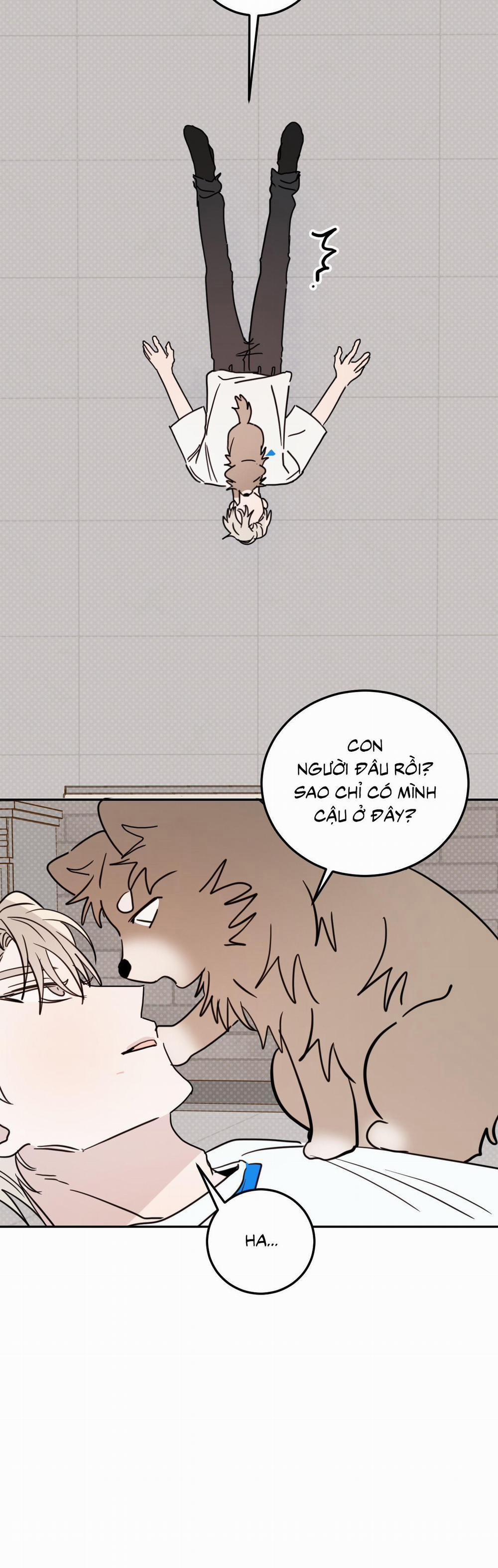 Ác Ma Giữa Ngã Tư Đường 57 trang 4