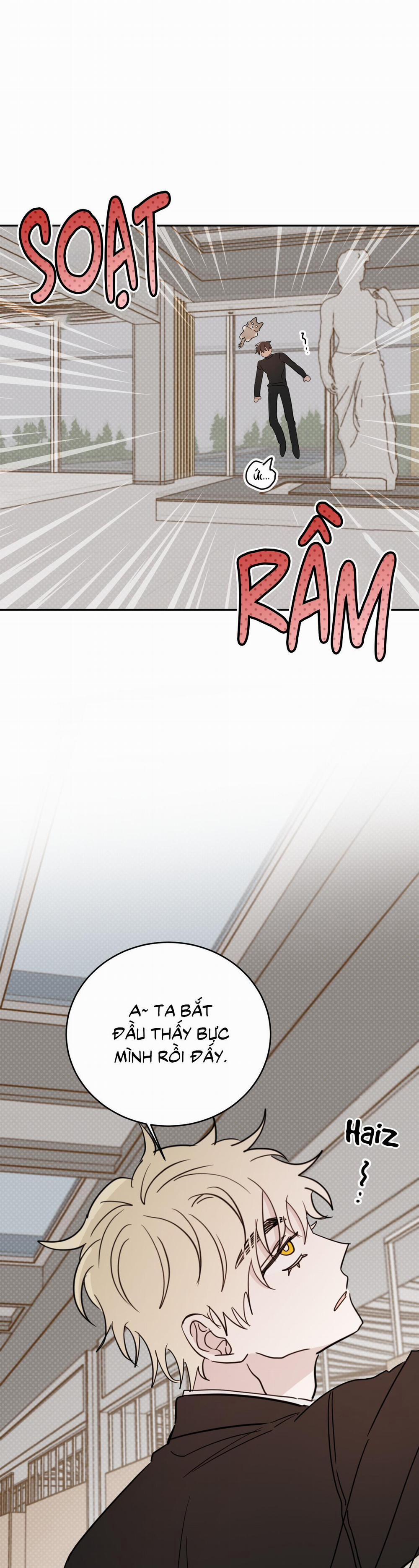 Ác Ma Giữa Ngã Tư Đường 61 trang 8