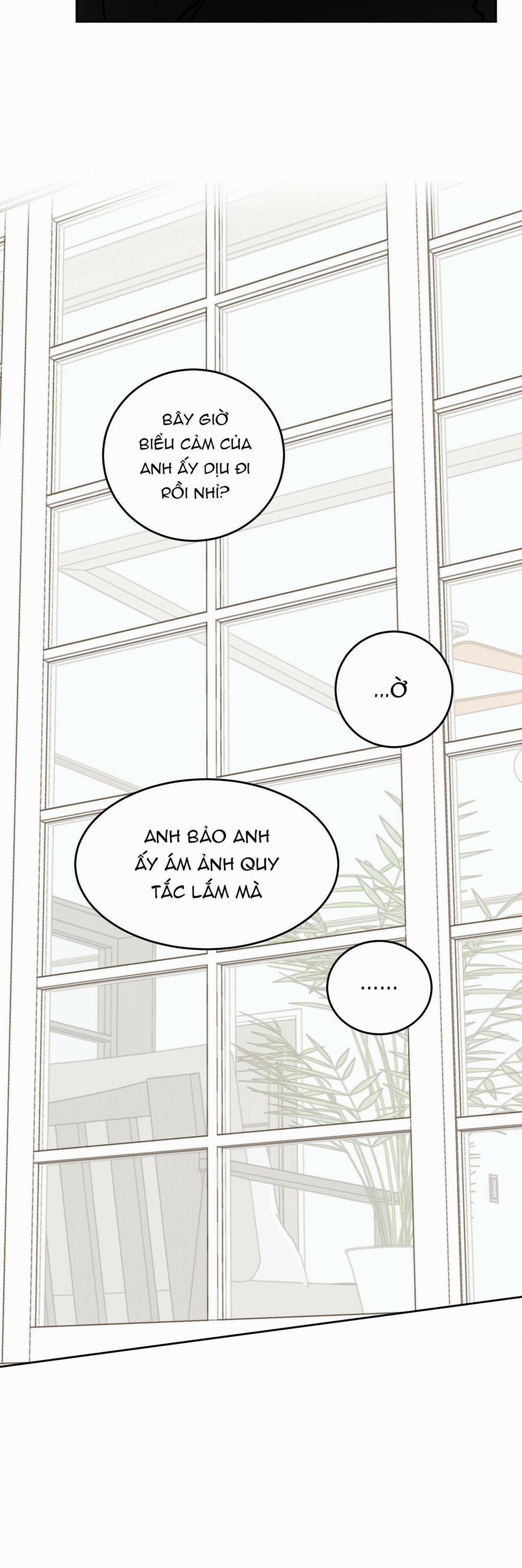 Ác ma giữa ngã tư 21 trang 24