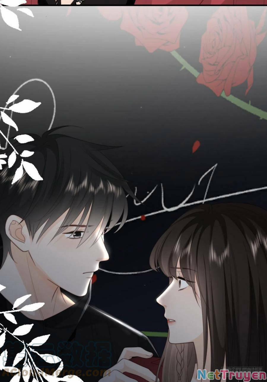 Ác Ma Thân Yêu 35 trang 11