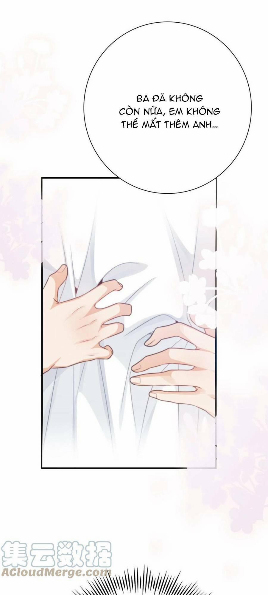 Ác Ma Thân Yêu 41 trang 5