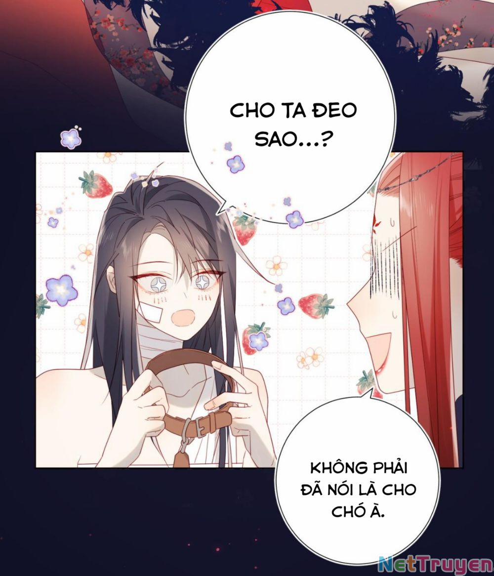 Ác Nữ Cự Tuyệt Cua Nam Chính 0.0 Phiên ngoại trang 25