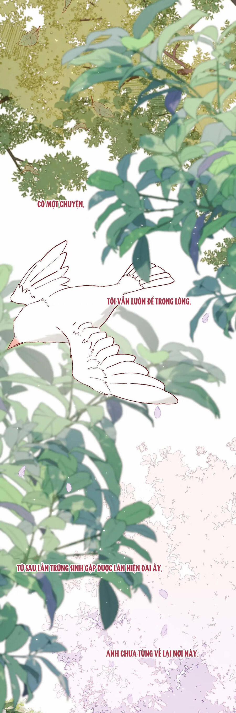 Ác Nữ Cự Tuyệt Cua Nam Chính 108 trang 27