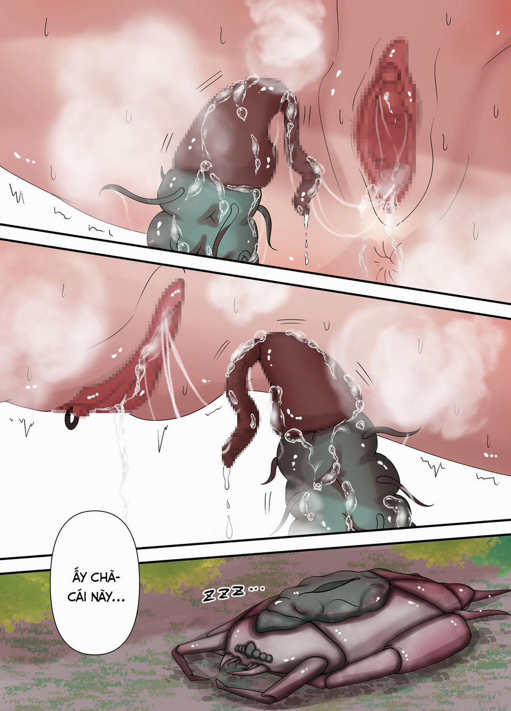 After Report 3 trang 7