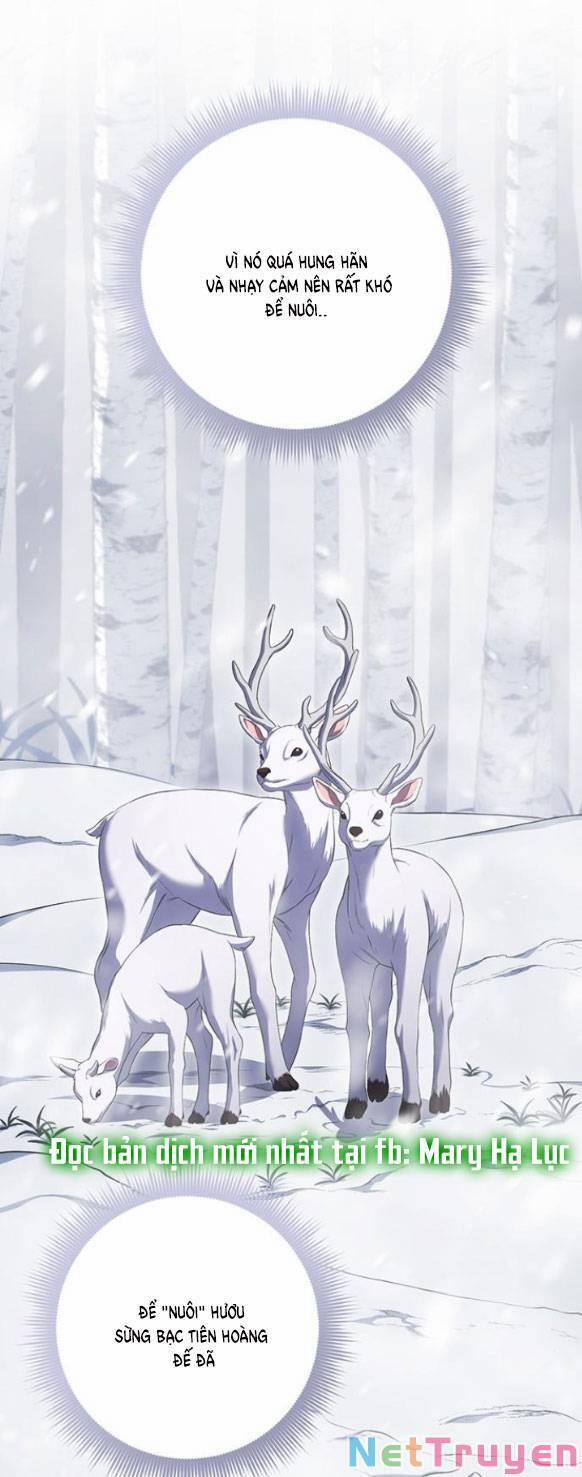 Ai Đã Bắt Cóc Hoàng Hậu? 15.2 trang 35