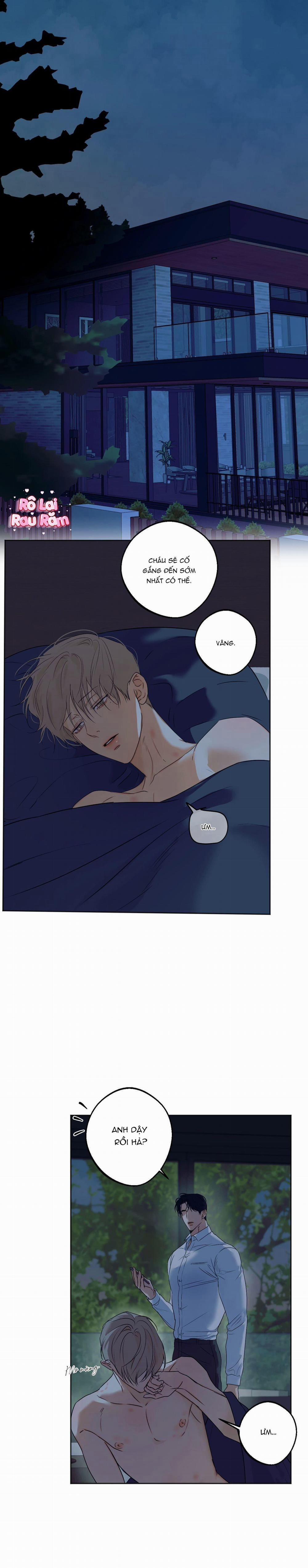 Ái Dục 43 trang 0