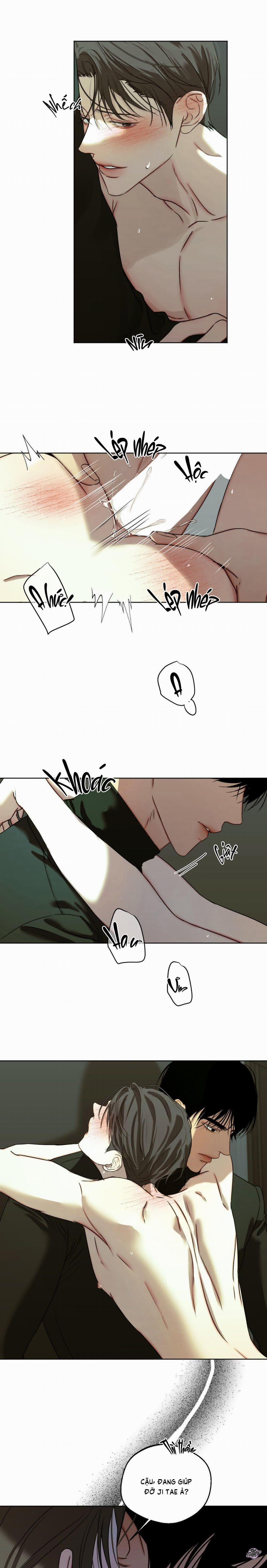 Ái Dục 47 trang 12