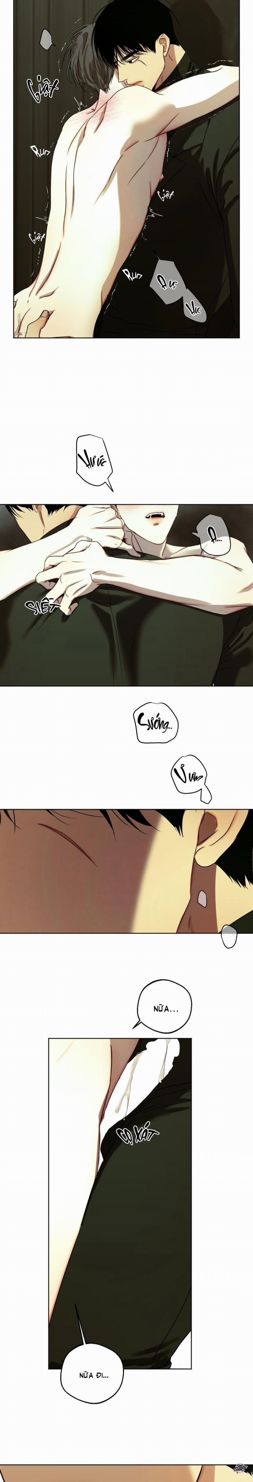 Ái Dục 47 trang 14