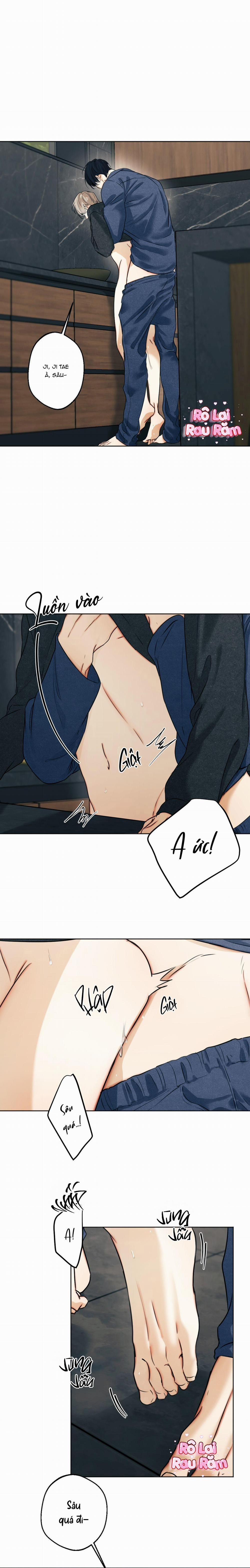 Ái Dục 51 trang 0