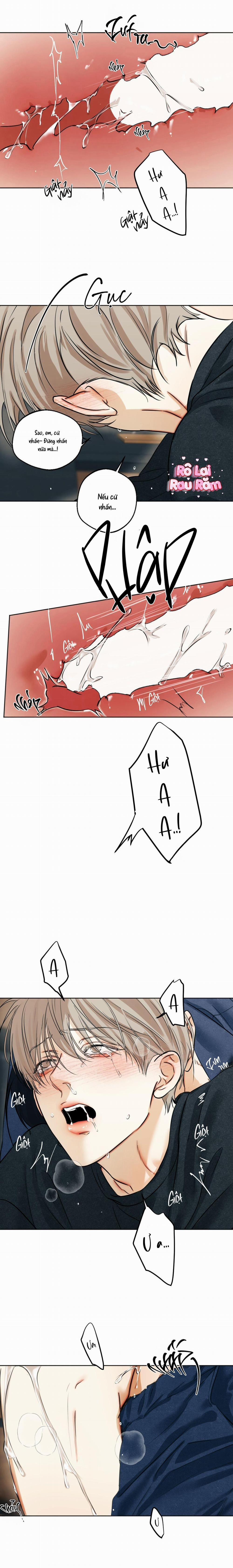 Ái Dục 51 trang 8