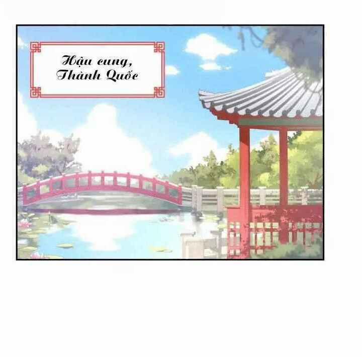 Ái Phi, Dao Của Nàng Rơi Rồi 1 trang 0