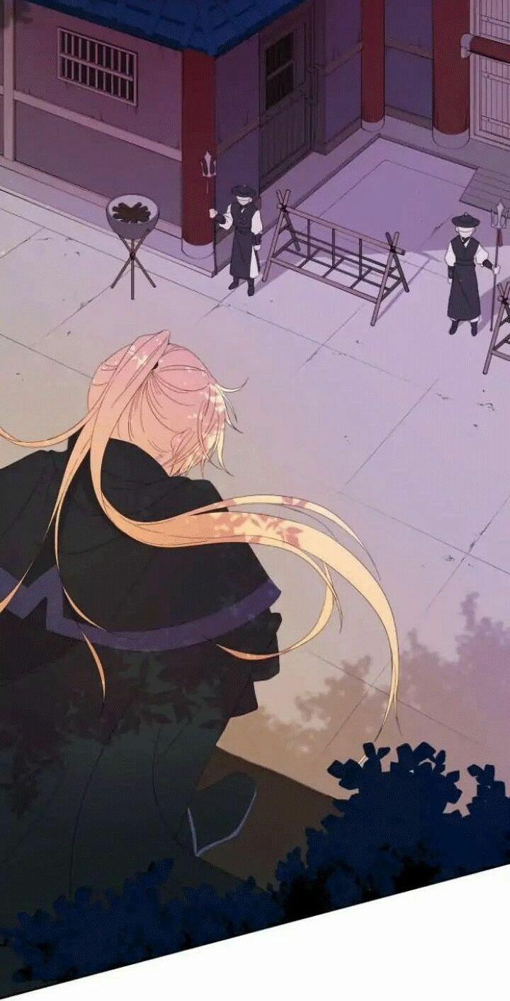 Ái Phi, Dao Của Nàng Rơi Rồi 5 trang 1