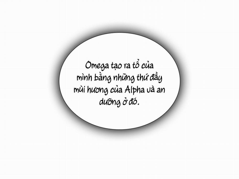 ÁI TÌNH TỰ TÂM 59 trang 39