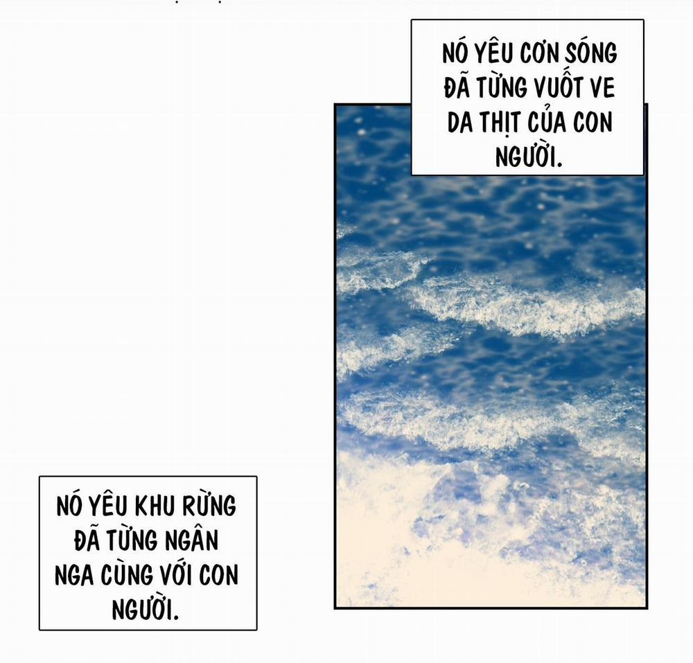 ÁI TÌNH TỰ TÂM 67 trang 72