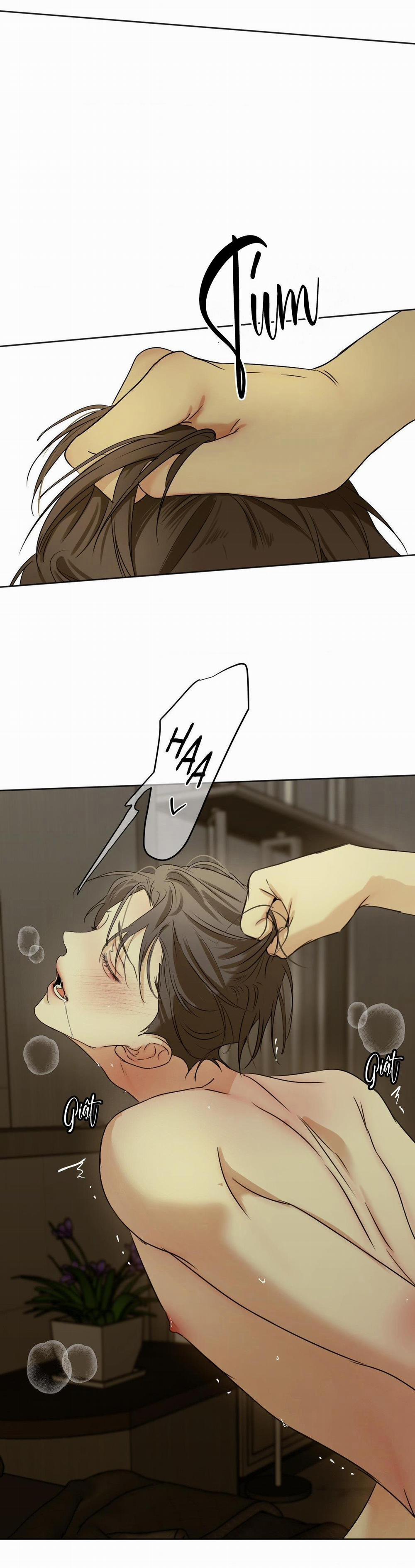 ÁI TÌNH VÀ DỤC VỌNG 37 trang 41