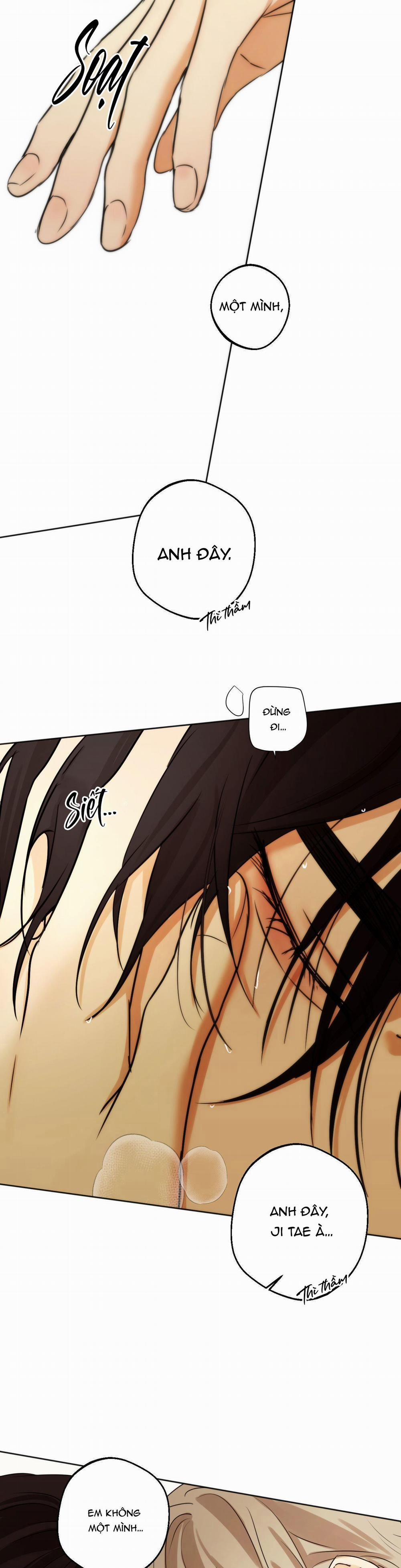 ÁI TÌNH VÀ DỤC VỌNG 38 trang 10