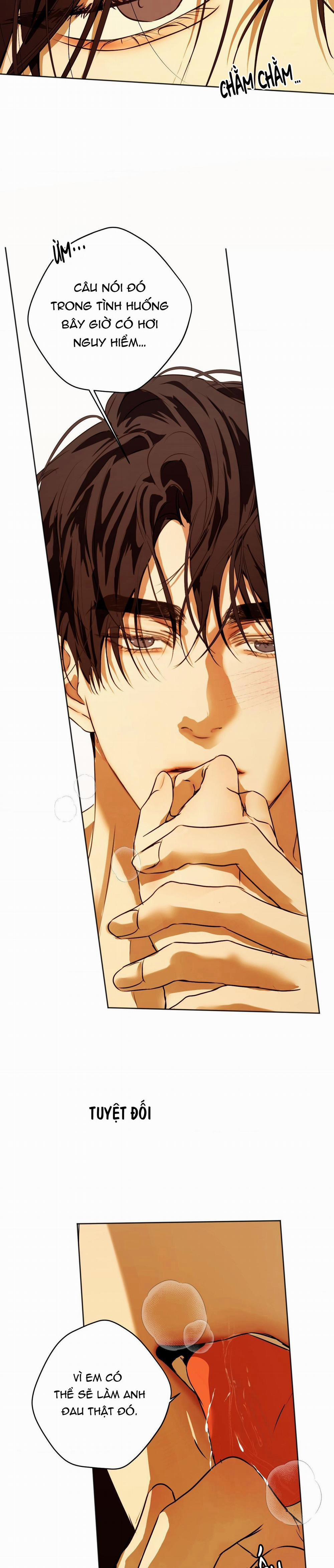 ÁI TÌNH VÀ DỤC VỌNG 40 trang 12