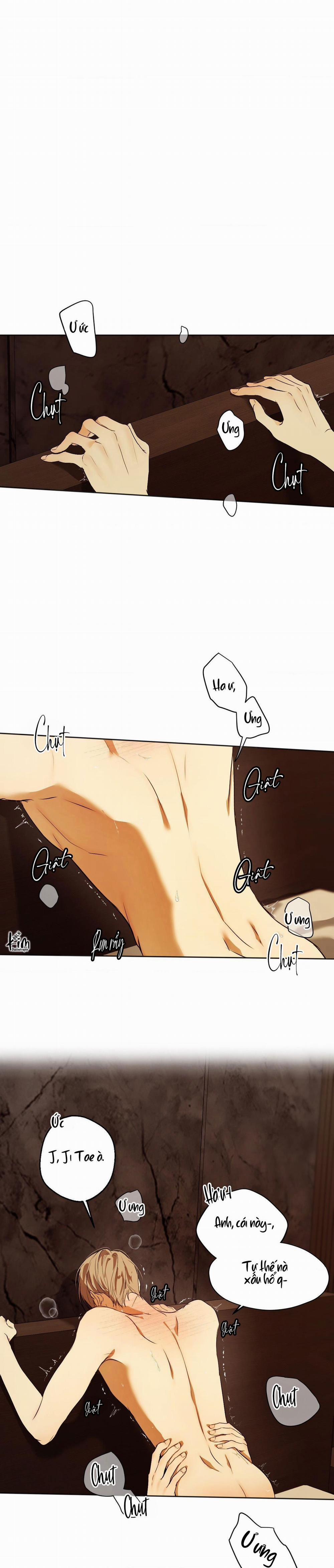 ÁI TÌNH VÀ DỤC VỌNG 40 trang 15