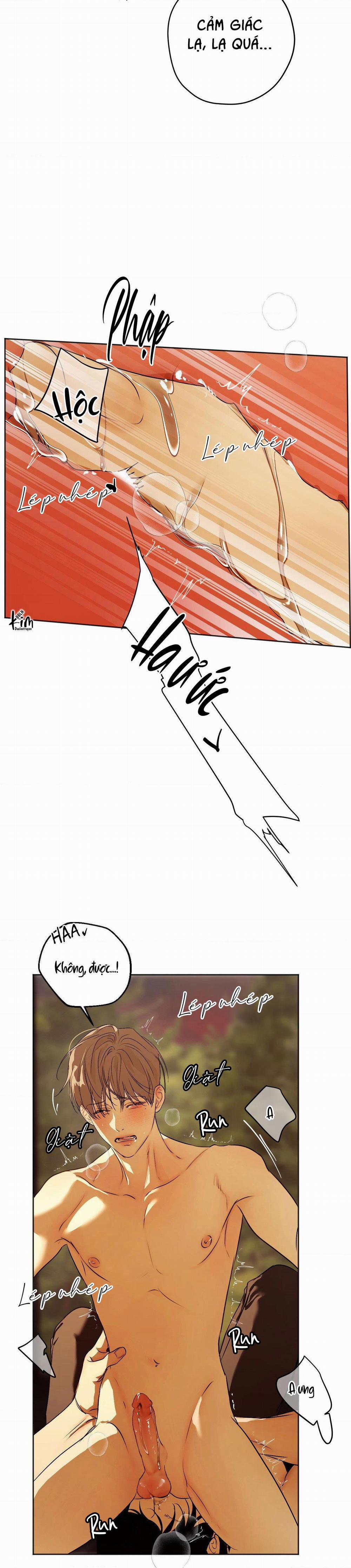 ÁI TÌNH VÀ DỤC VỌNG 40 trang 20