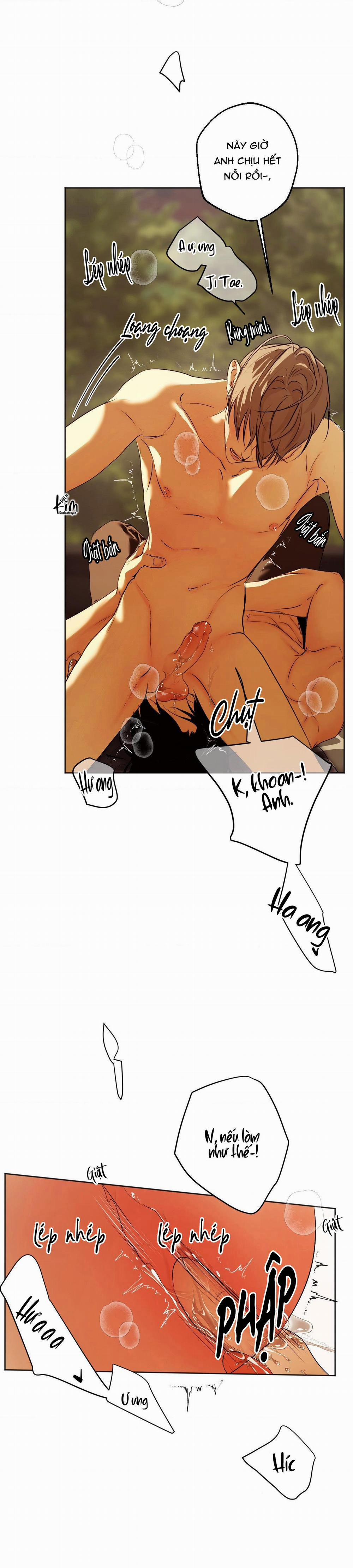 ÁI TÌNH VÀ DỤC VỌNG 40 trang 21