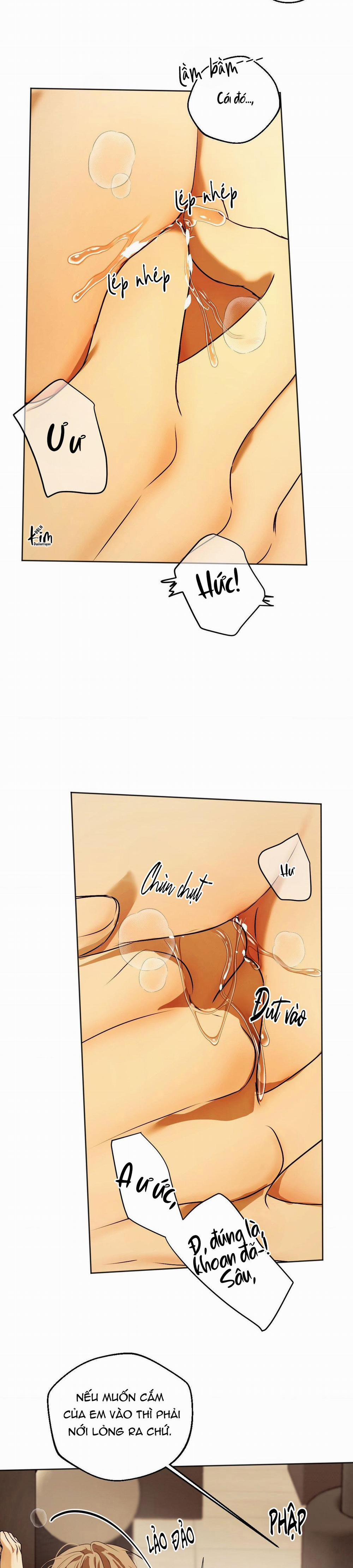 ÁI TÌNH VÀ DỤC VỌNG 40 trang 25