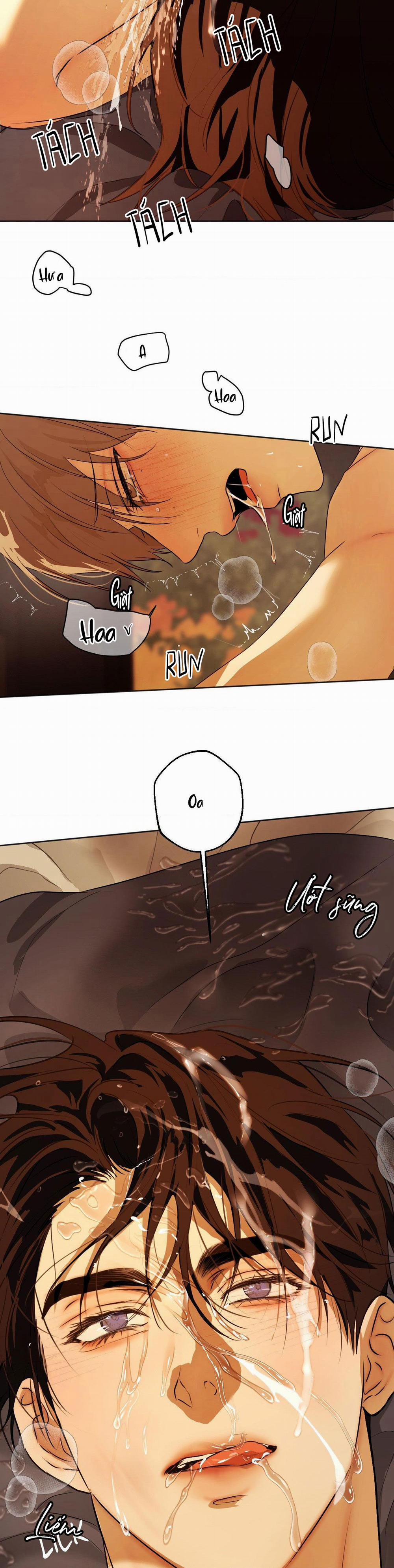 ÁI TÌNH VÀ DỤC VỌNG 40 trang 30