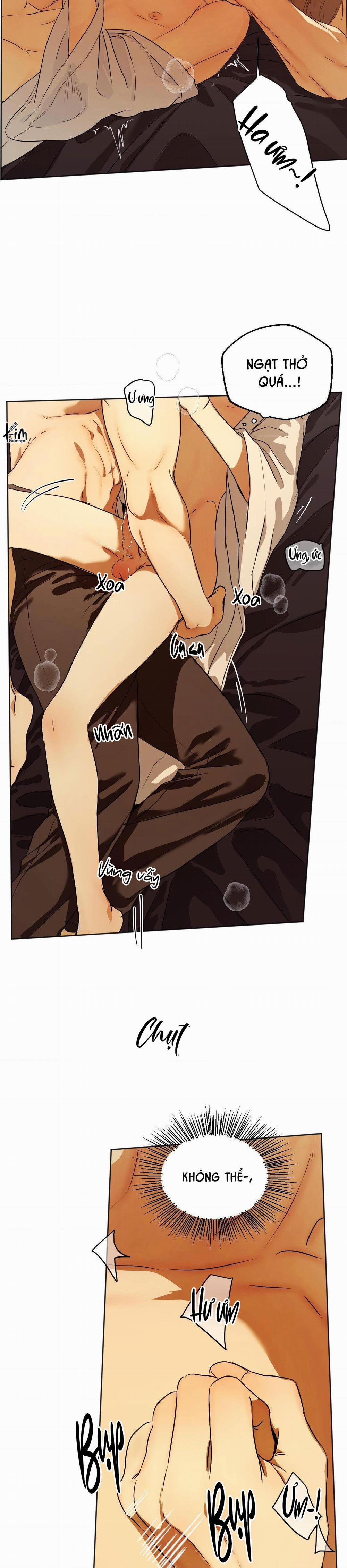 ÁI TÌNH VÀ DỤC VỌNG 40 trang 4