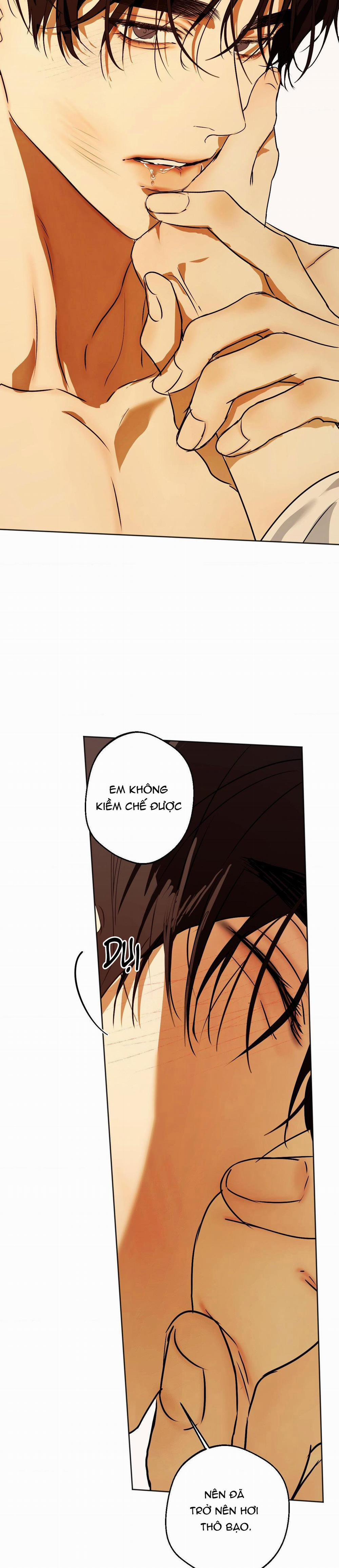 ÁI TÌNH VÀ DỤC VỌNG 40 trang 8