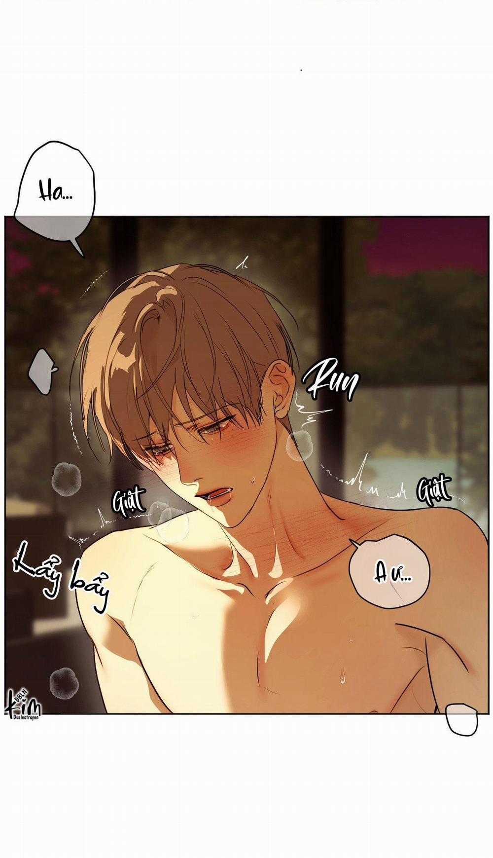 ÁI TÌNH VÀ DỤC VỌNG 41 trang 0