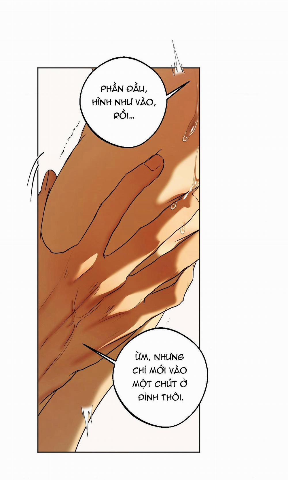 ÁI TÌNH VÀ DỤC VỌNG 41 trang 15