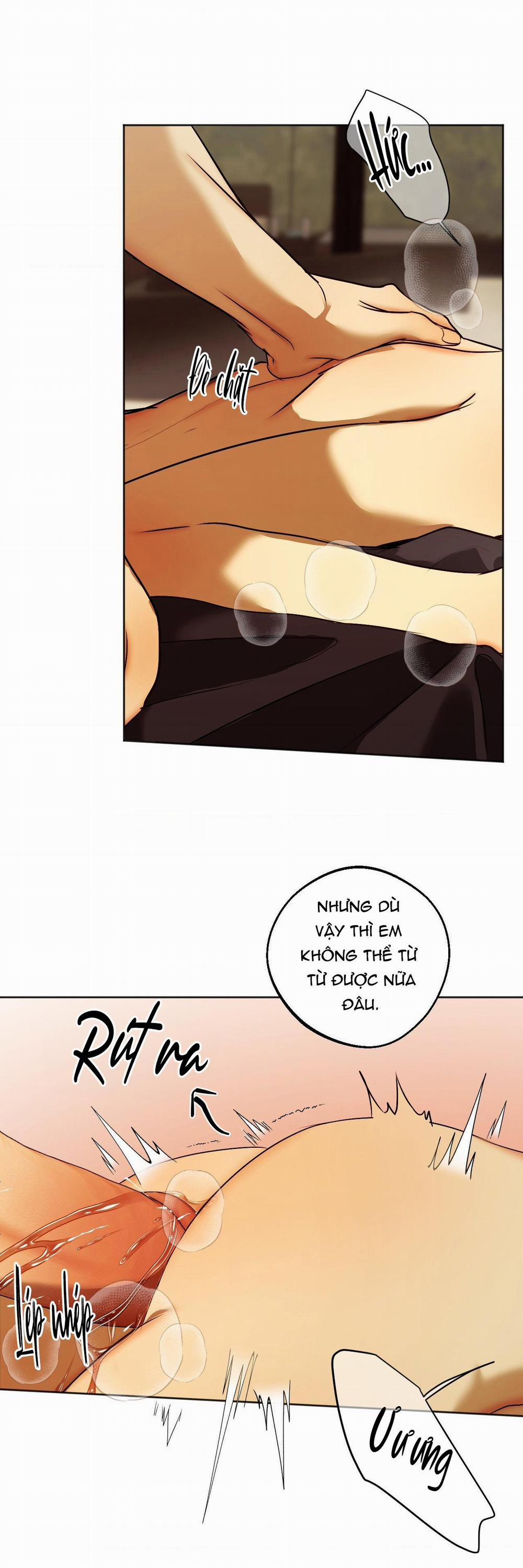 ÁI TÌNH VÀ DỤC VỌNG 41 trang 29