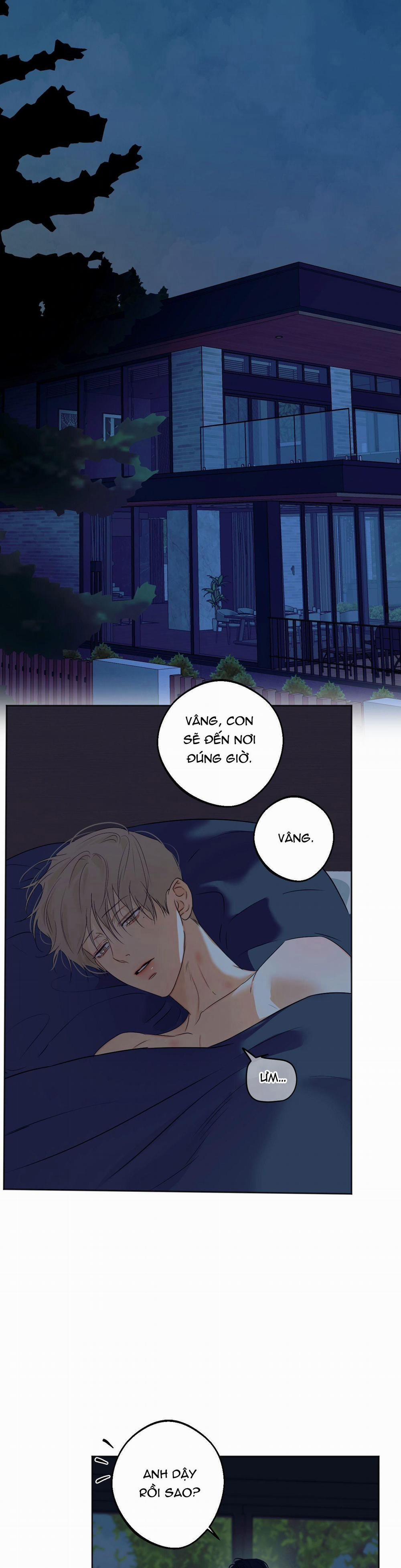 ÁI TÌNH VÀ DỤC VỌNG 43 trang 0