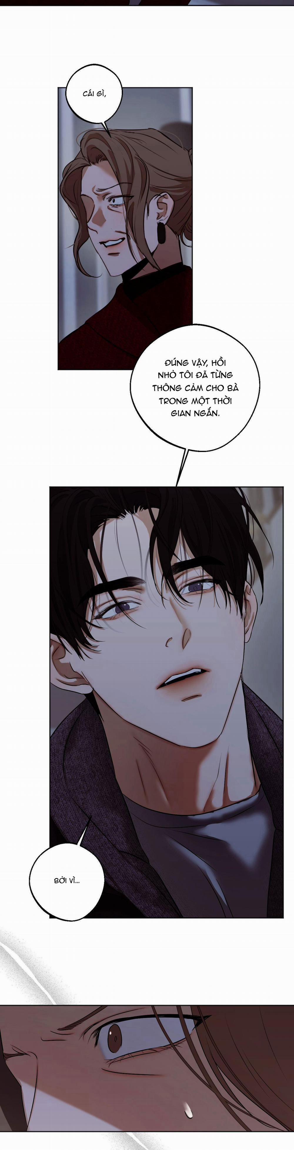 ÁI TÌNH VÀ DỤC VỌNG 46 trang 12