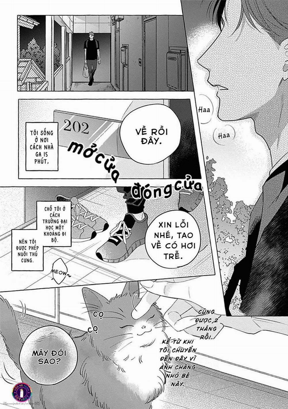 Aimai na Wolf 1 trang 4