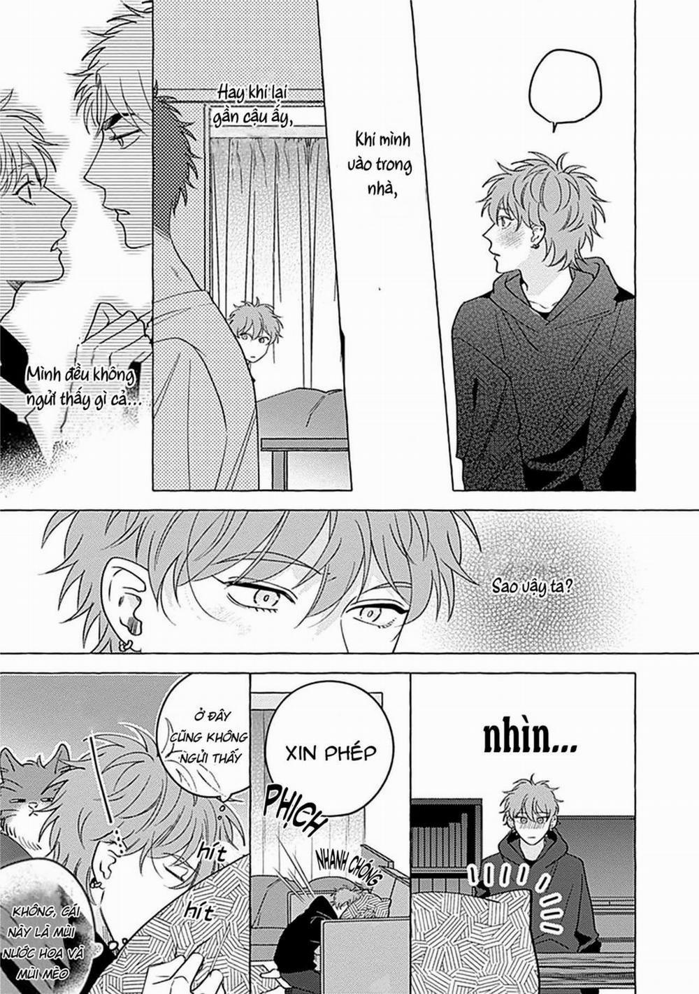 Aimai na Wolf 2 trang 31