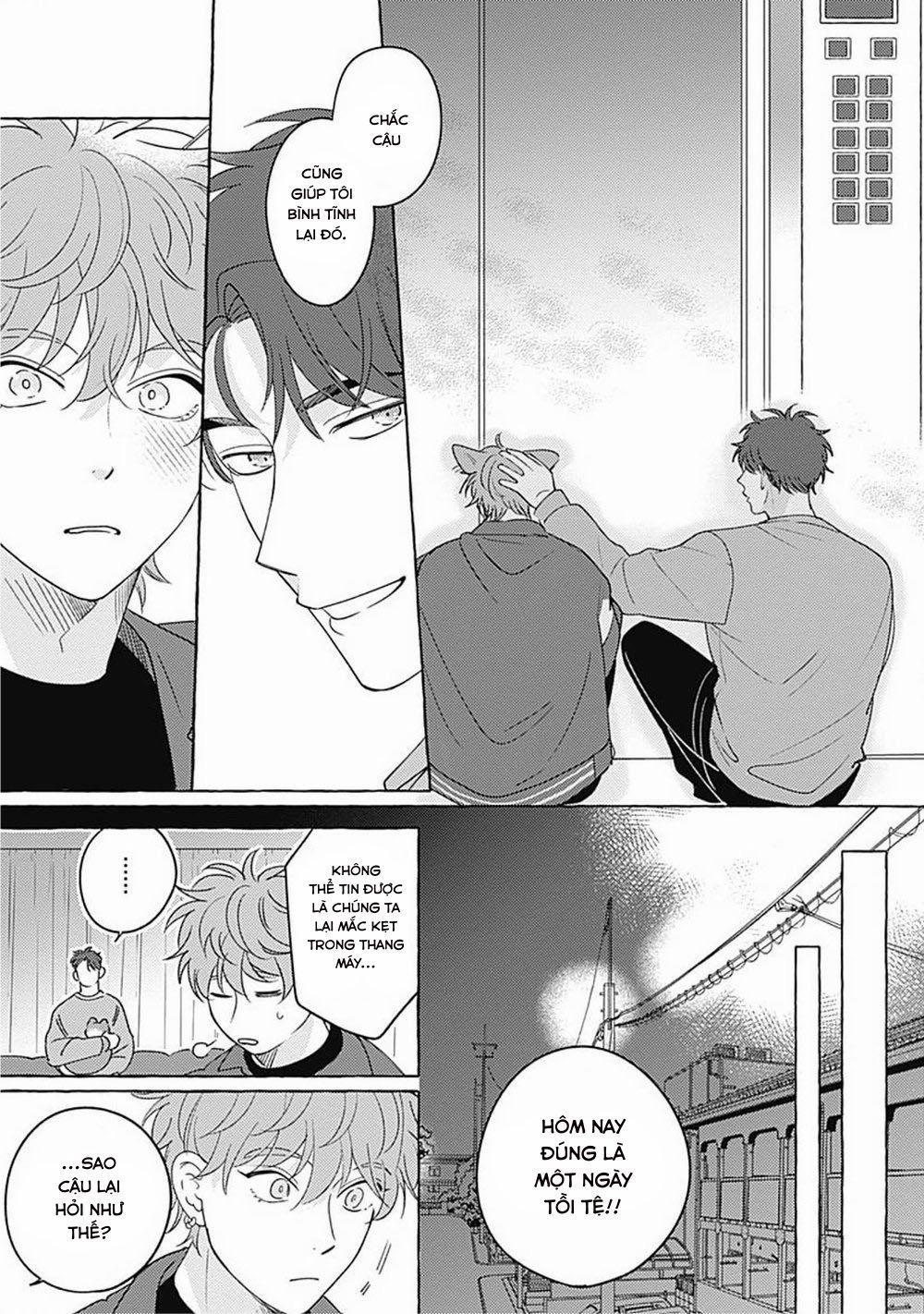 Aimai na Wolf 3 trang 22