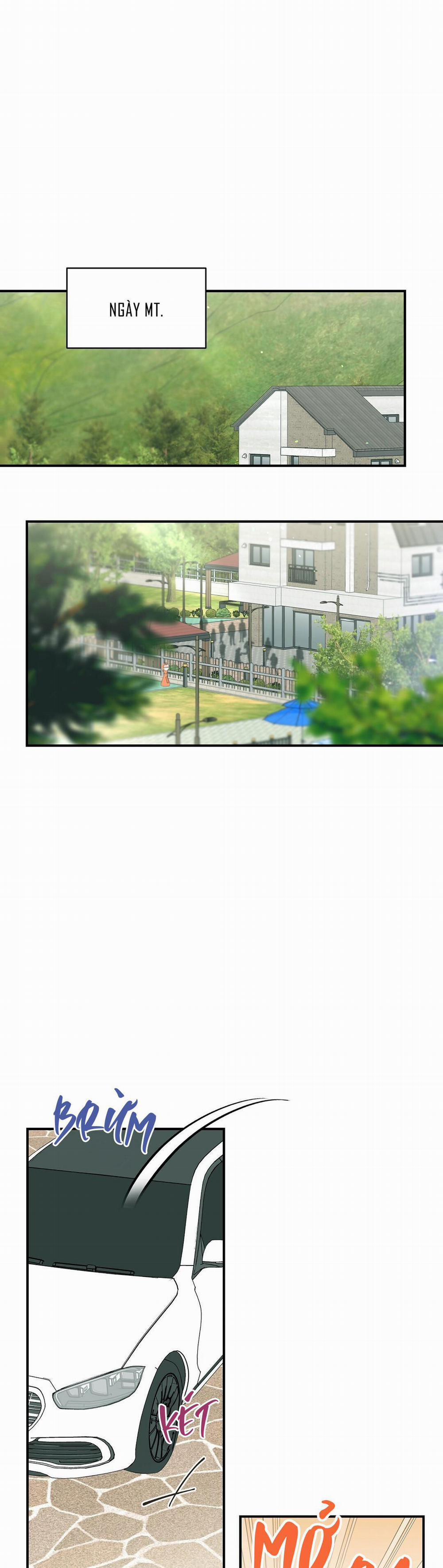 Alpha Trauma 7 trang 0